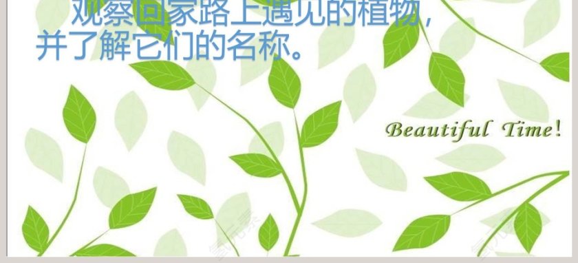 认识常见植物-教学ppt课件第3张