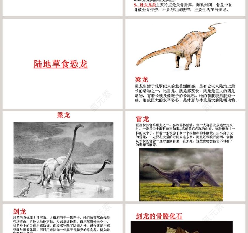 幼儿园大班科学教学绘本PPT：恐龙第2张