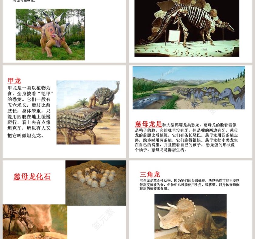 幼儿园大班科学教学绘本PPT：恐龙第3张