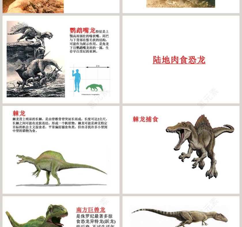 幼儿园大班科学教学绘本PPT：恐龙第4张