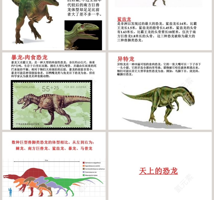 幼儿园大班科学教学绘本PPT：恐龙第5张