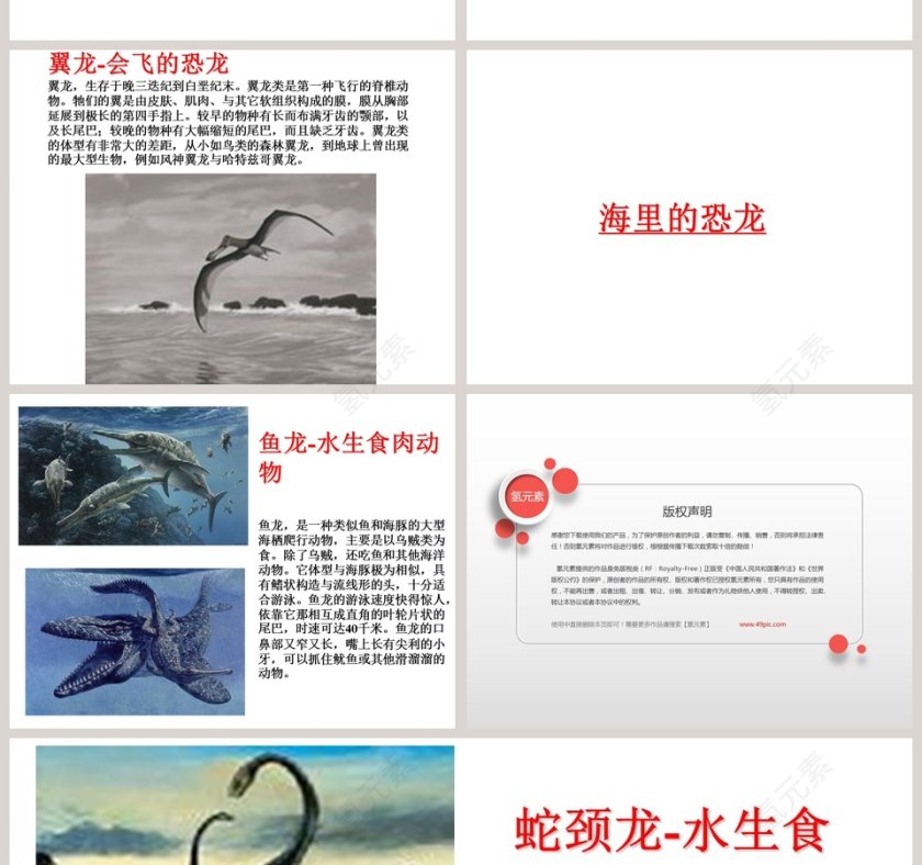 幼儿园大班科学教学绘本PPT：恐龙第6张