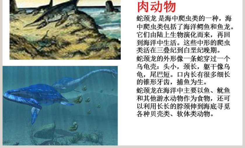 幼儿园大班科学教学绘本PPT：恐龙第7张