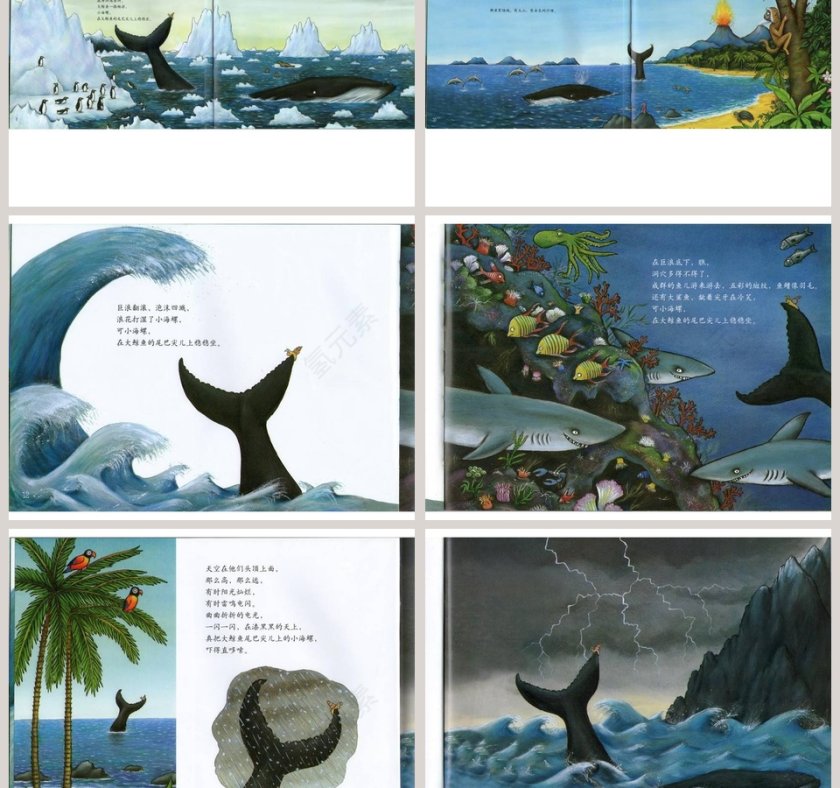 小海螺和大鲸鱼幼儿园绘本教育课件第3张