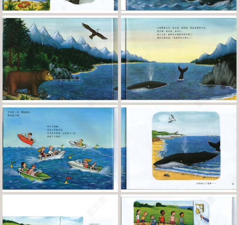 小海螺和大鲸鱼幼儿园绘本教育课件第4张