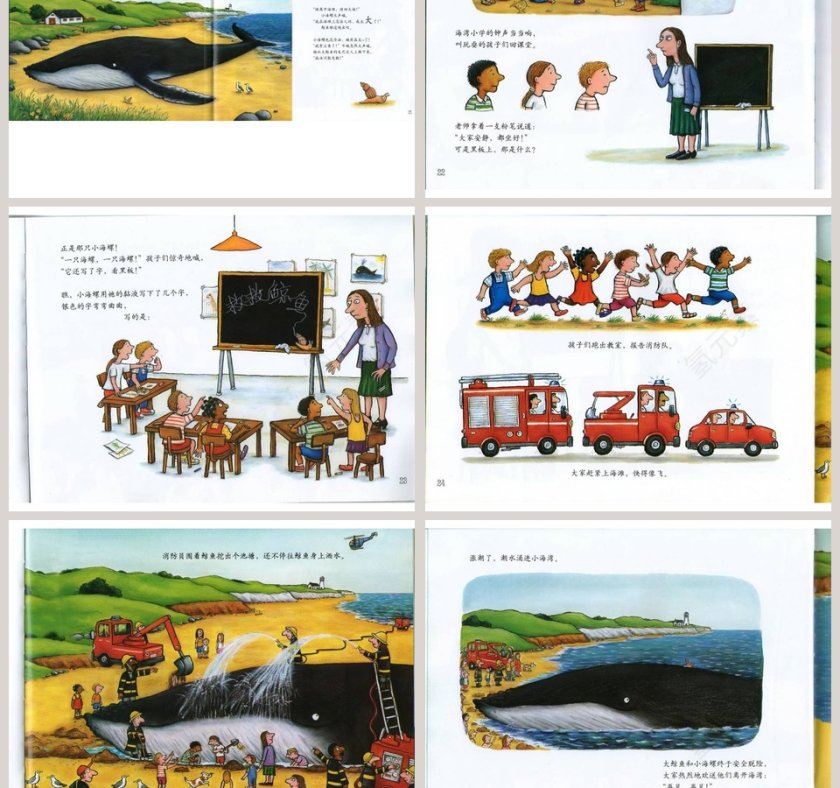 小海螺和大鲸鱼幼儿园绘本教育课件第5张