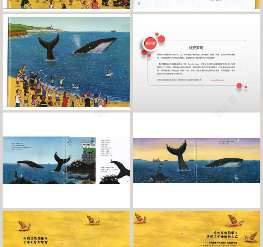 小海螺和大鲸鱼幼儿园绘本教育课件第6张