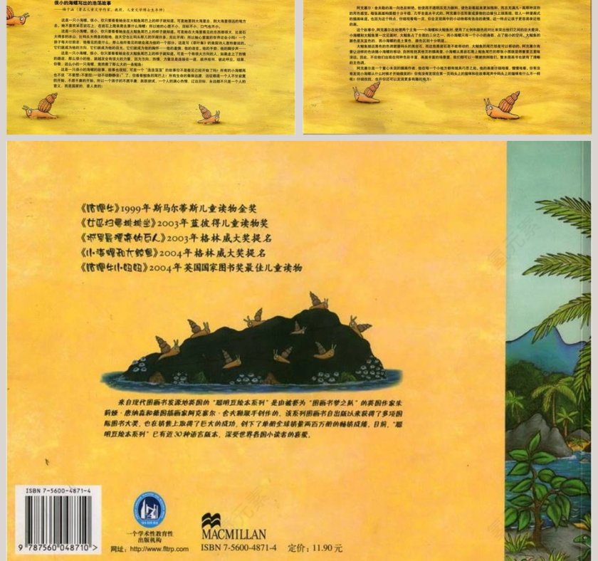 小海螺和大鲸鱼幼儿园绘本教育课件第7张