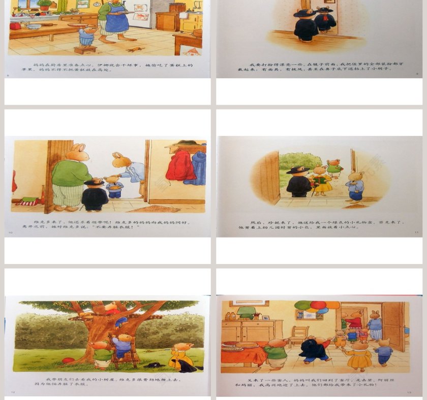 汤姆的生日幼儿教育绘本故事PPT模板第3张