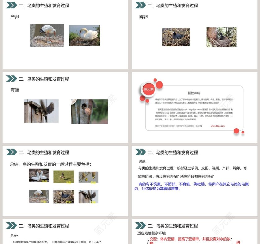 人教版初中生物八年级下册教学ppt课件第5张