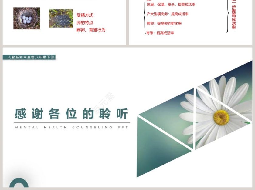 人教版初中生物八年级下册教学ppt课件第6张