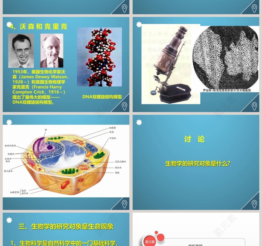 生物学是探索生命的科学-第二章  探索生命教学ppt课件第4张