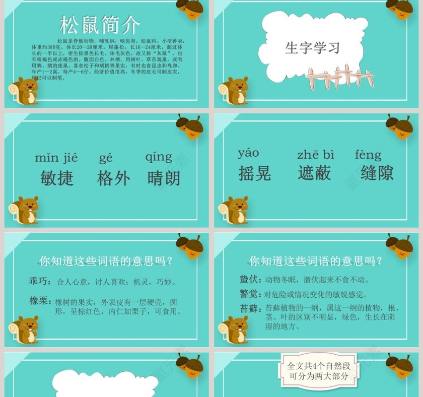 五年级语文课件PPT松鼠第2张