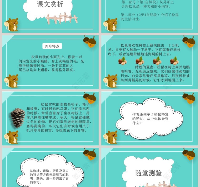 五年级语文课件PPT松鼠第3张
