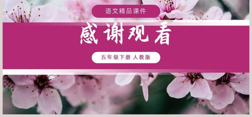 梅花魂-语文精品课件教学ppt课件第6张