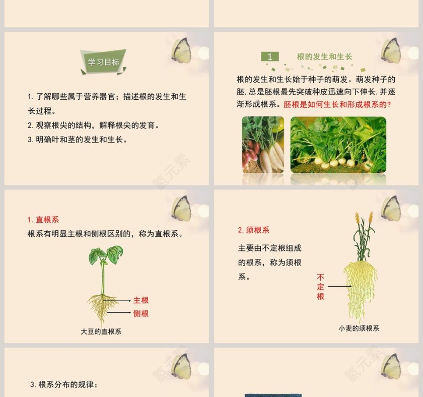 第-2教学ppt课件第2张