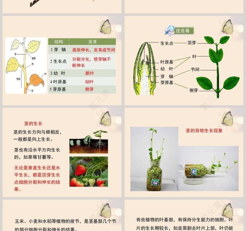 第-2教学ppt课件第4张