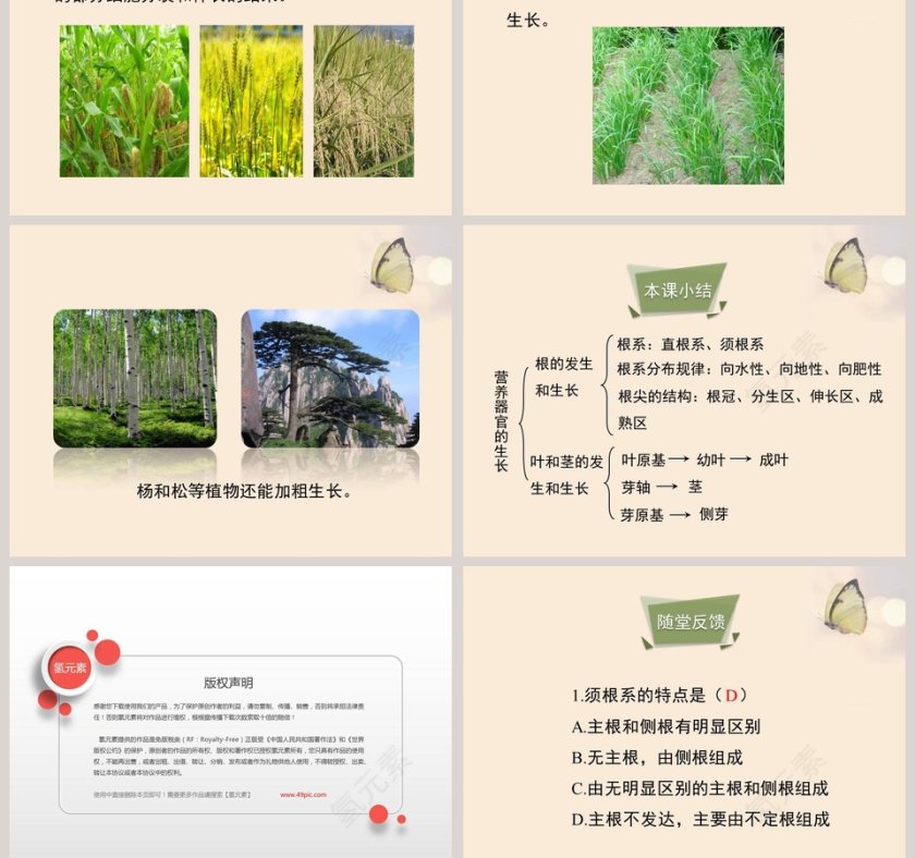 第-2教学ppt课件第5张