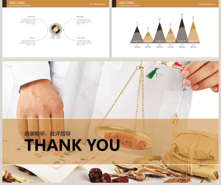 中草药中医学工作概述PPT第5张