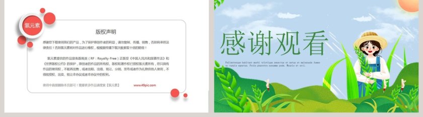 唯美小清新二十四节气之小满PPT模板第5张