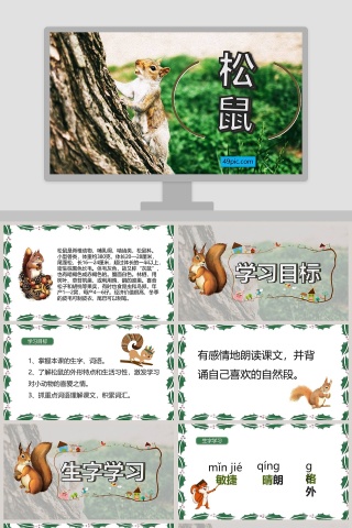 课文解析松鼠语文课件PPT