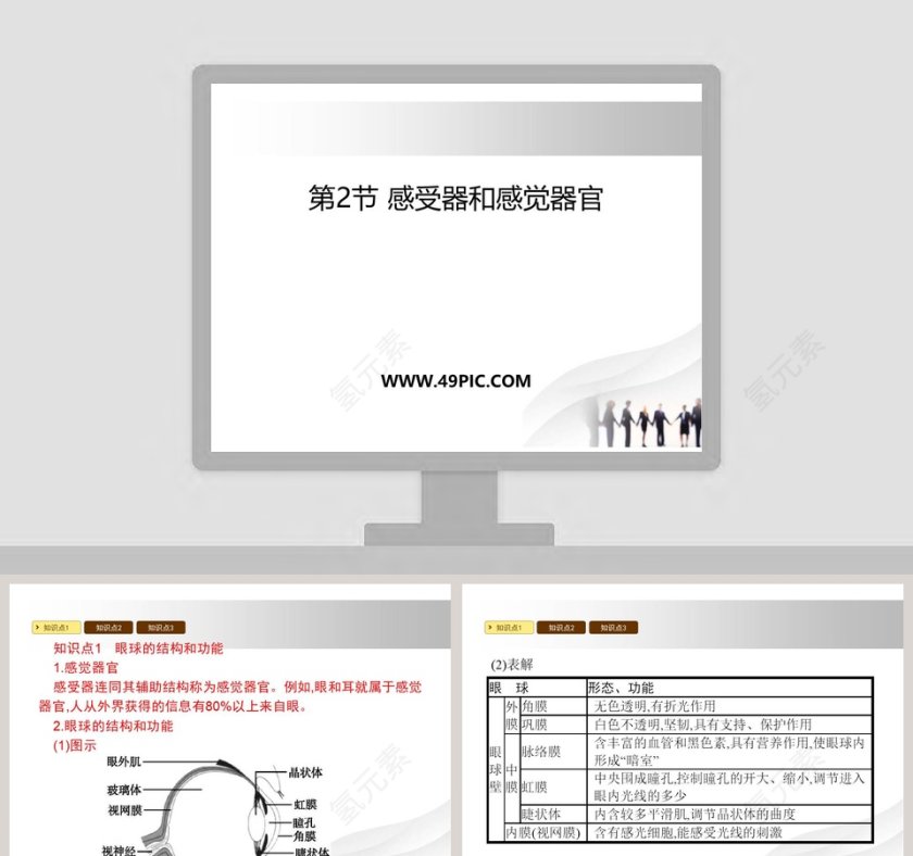 第-节感受器和感觉器官教学ppt课件第1张