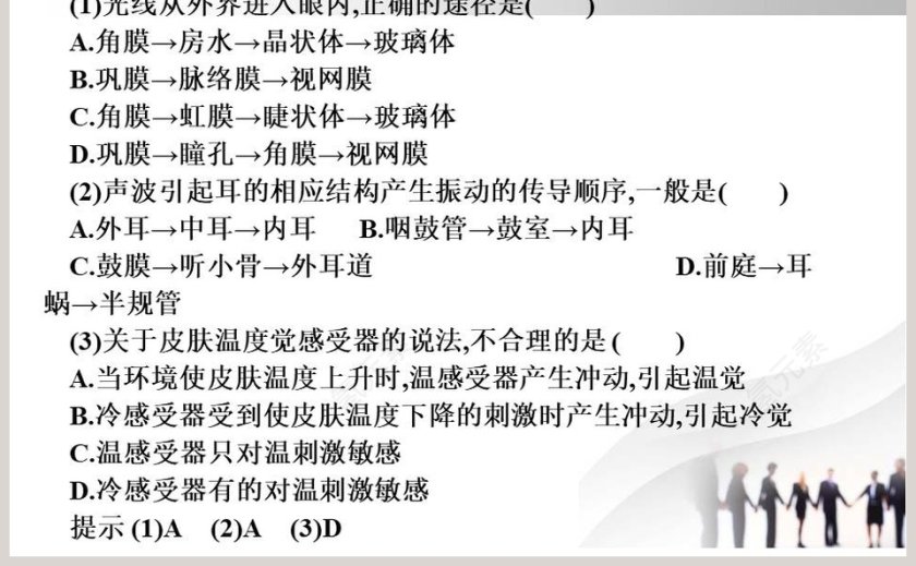 第-节感受器和感觉器官教学ppt课件第5张