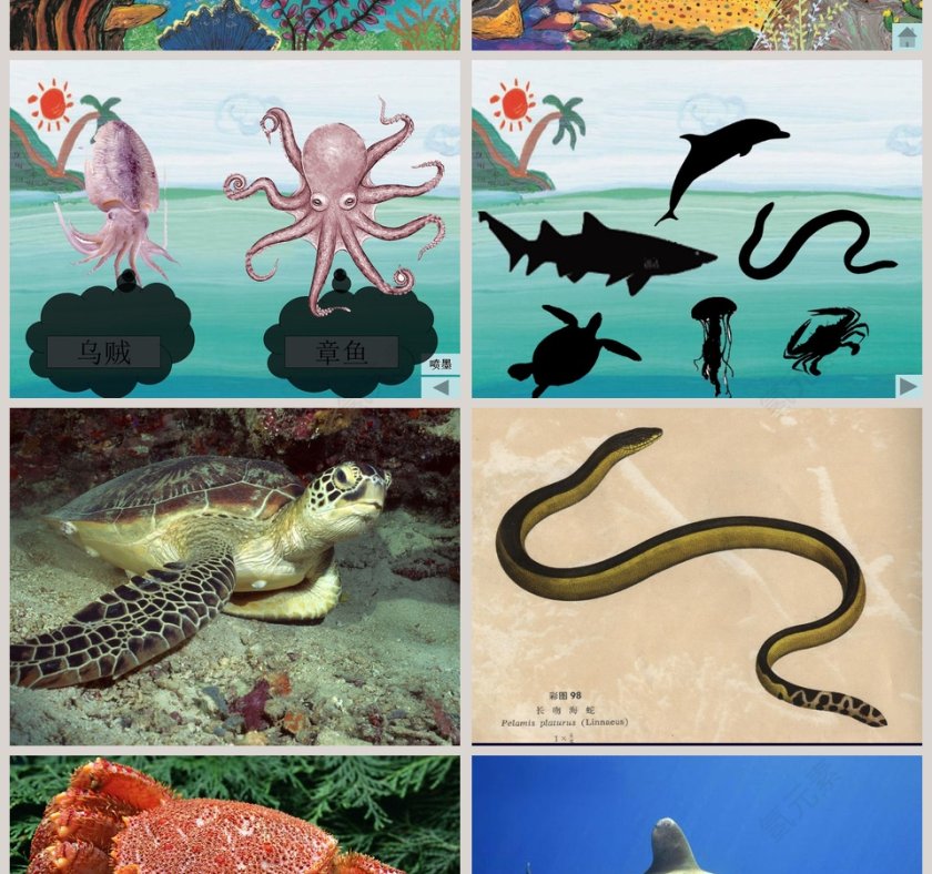 海浪是我们的朋友：幼儿教育绘本PPT第4张