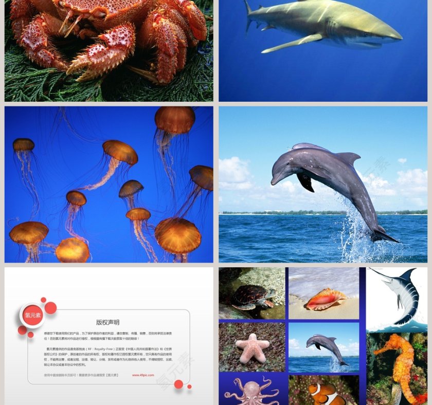 海浪是我们的朋友：幼儿教育绘本PPT第5张