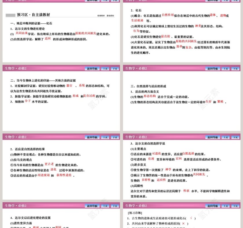 第-1教学ppt课件第2张