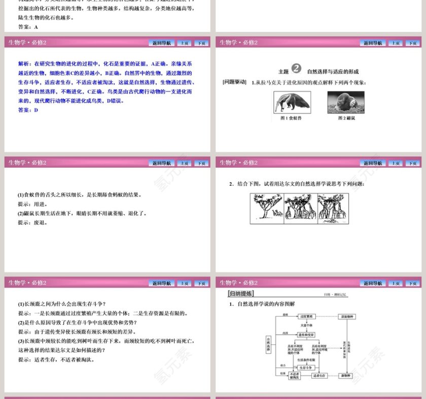 第-1教学ppt课件第4张