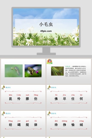 课文解析小毛虫语文课件PPT