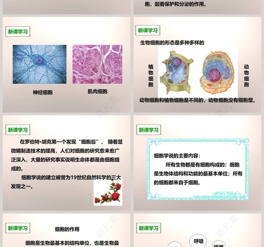 教科版六年级下册课堂教学PPT模板第4张