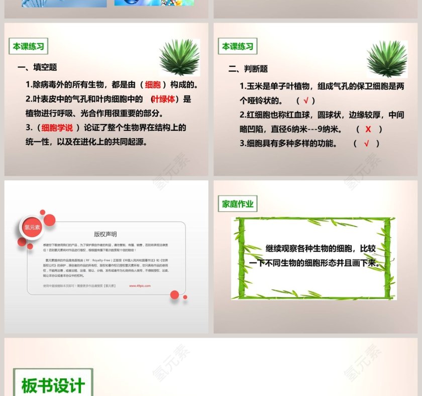 教科版六年级下册课堂教学PPT模板第6张