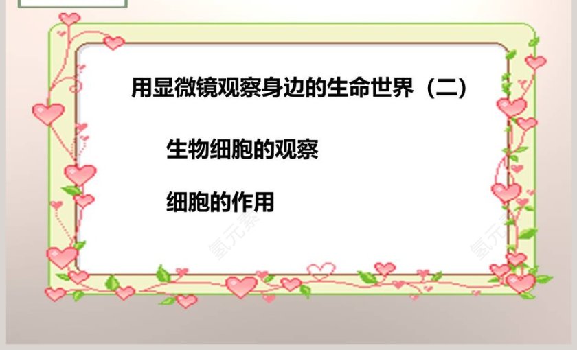 教科版六年级下册课堂教学PPT模板第7张