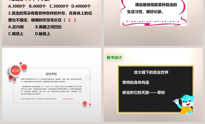 教科版六年级下册-放大镜下的昆虫世界教学ppt课件第7张