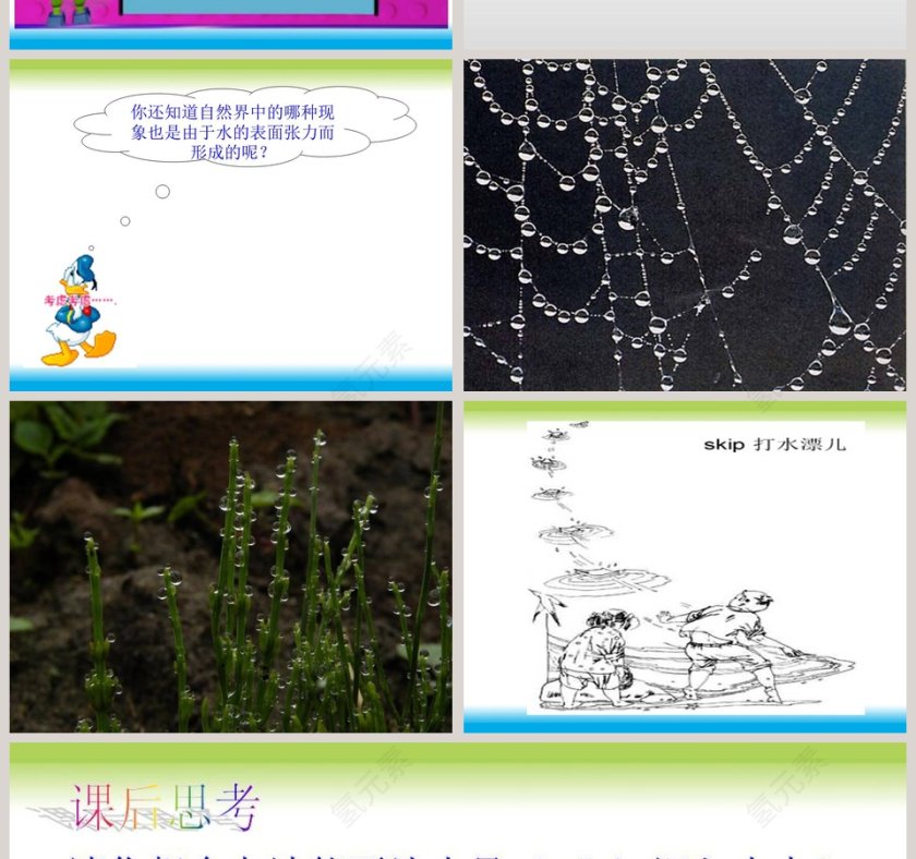 水面的秘密教学ppt课件第4张