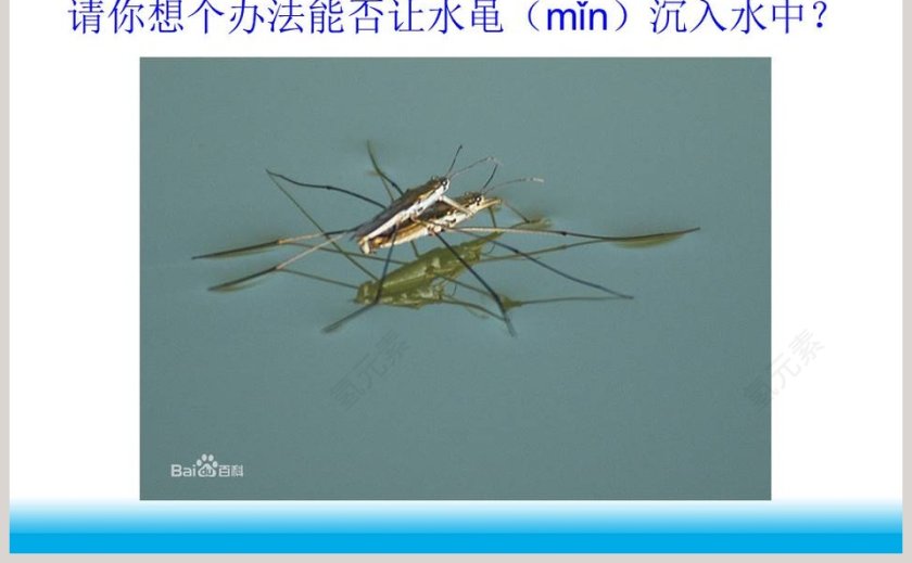水面的秘密教学ppt课件第5张