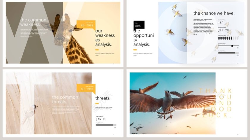 简约清新飞鸟集工作总结PPT第5张