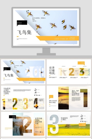 简约清新飞鸟集工作总结PPT