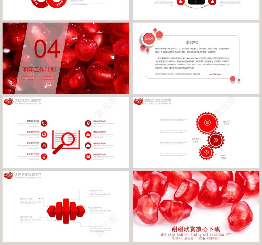 水果石榴产品介绍PPT模板第4张