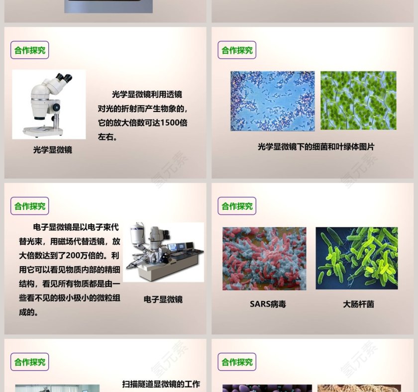 教科版   六年级下册-怎样放得更大教学ppt课件第4张