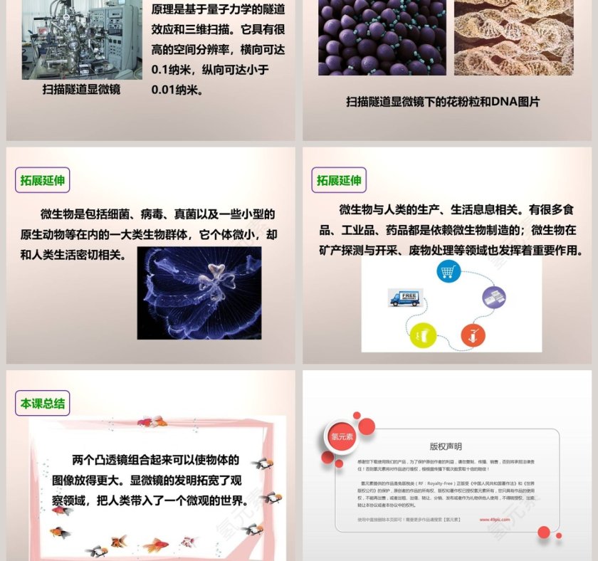 教科版   六年级下册-怎样放得更大教学ppt课件第5张