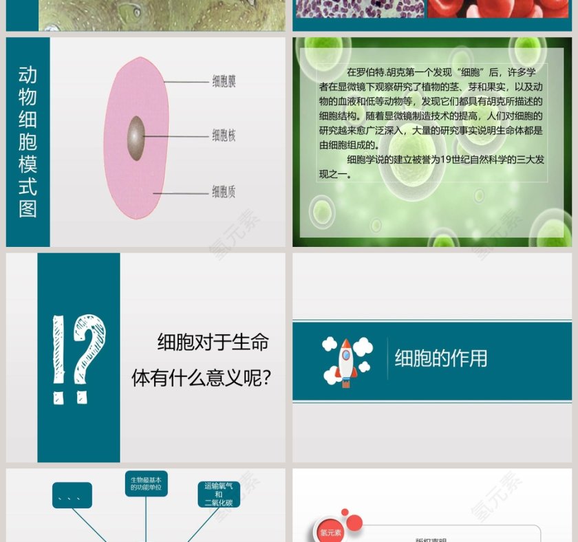 第五节 用显微镜观察身边的生命世界-二教学ppt课件第4张