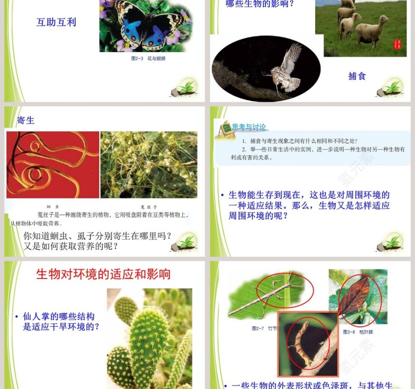 第-1教学ppt课件第3张