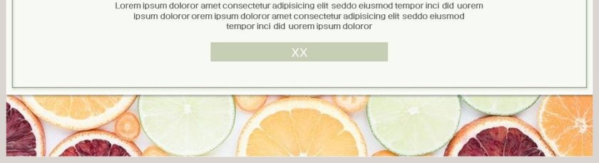 清爽水果背景英语教学课件ppt第5张