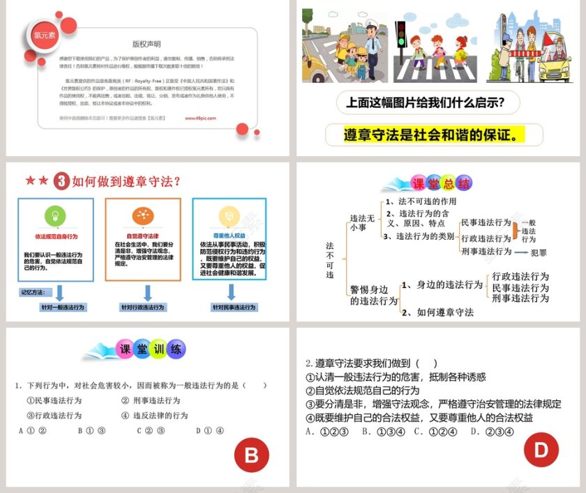 -法不可违教学ppt课件第5张