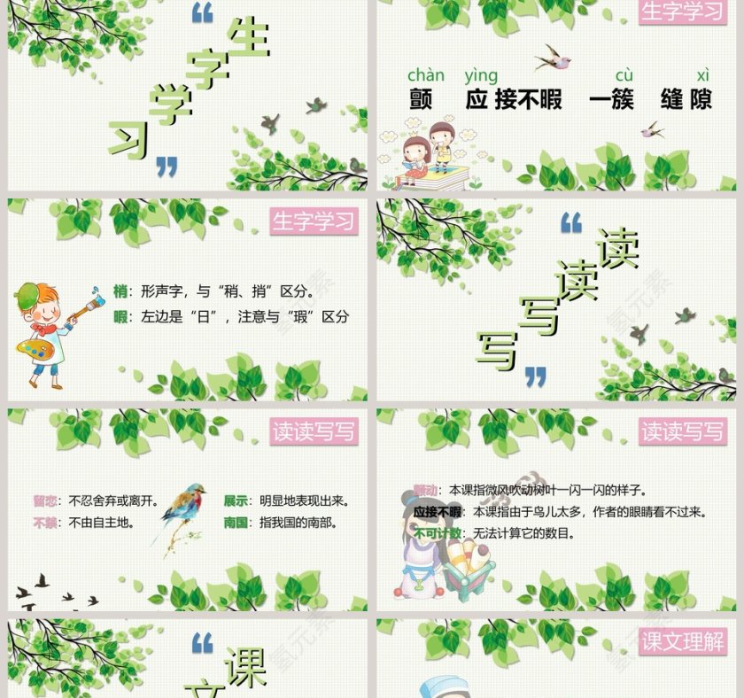 部编版五年级语文鸟的天堂PPT课件第2张