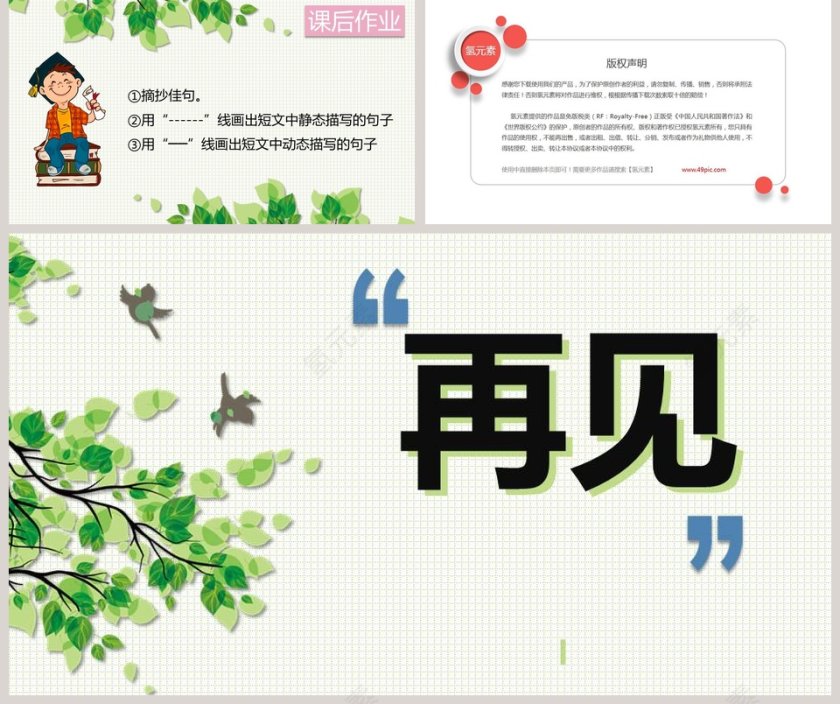 部编版五年级语文鸟的天堂PPT课件第5张