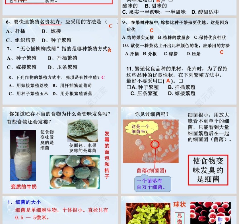 第-6教学ppt课件第2张